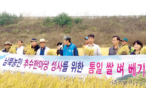 남북농민 추수한마당 통일쌀 벼베기