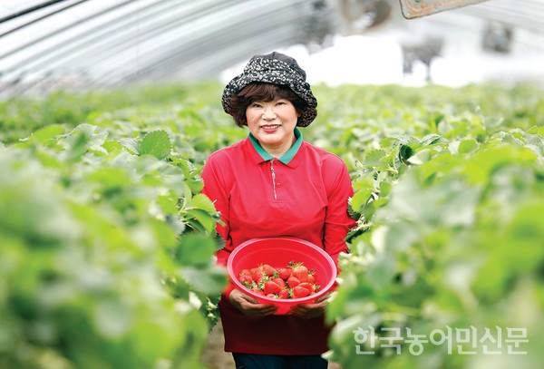 김희숙 한여농충남도연합회 회장은 충남 논산시 노성면에서 딸기 농사와 딸기 체험농장을 운영하고 있다.