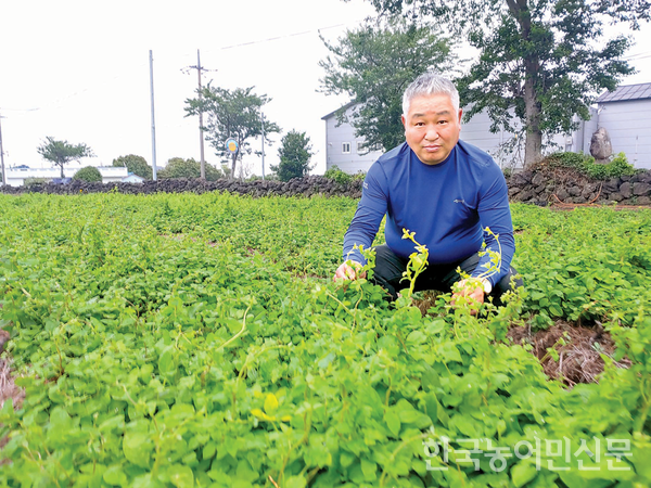 홍성효 대표가 더덕 재배지에서 농업경영 등 농사에 대한 얘기를 하고 있다.