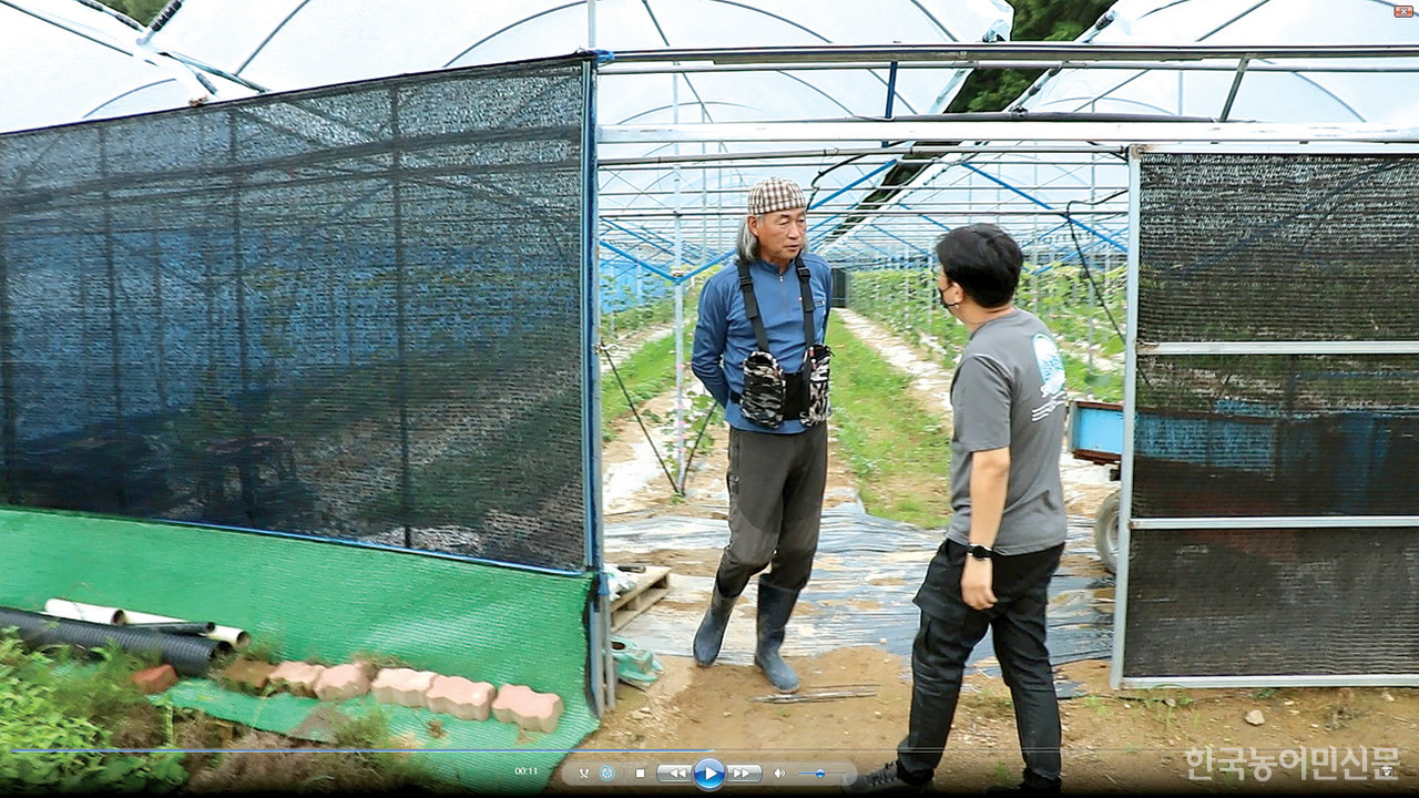 김경욱 기자가 지난 7월 6일 경북 상주 포도농가 이인철 씨를 만나 농촌인력문제의 삼각성에 대해 이야기를 하고 있다.