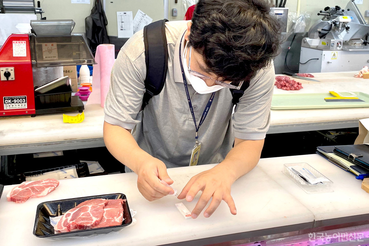 새롭게 개발된 돼지고기 원산지 판별 검정 키트로 진단하는 모습.