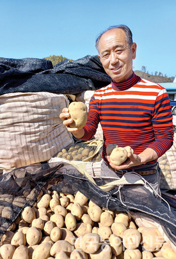 권혁기 왕산종묘 대표는 다양한 감자 품종을 농업현장에 공급하기 위해 씨감자 생산에 주력하고 있다.