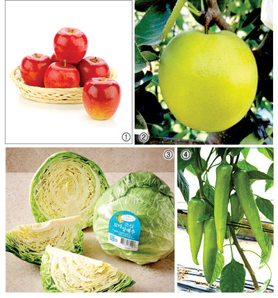 주목할 만한 차세대 신선농산물인 ⓛ아리수 사과, ②그린시스 배, ③소형양배추, ④당조고추