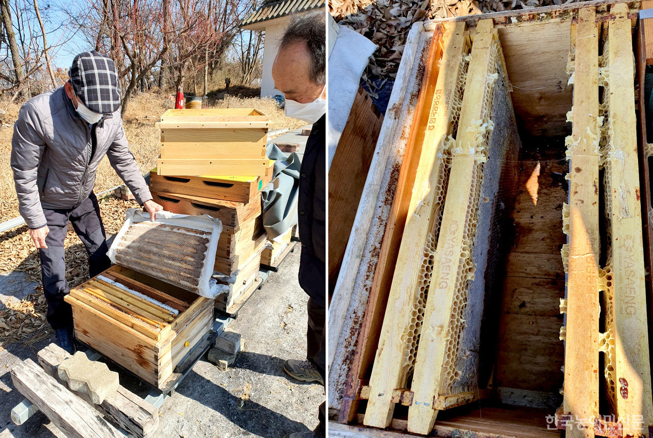 벌을 깨울 봄철, 꿀벌 집단 실종 피해가 양봉업계에 충격을 주고 있다. 사진은 당진의 양봉 농가들이 피해현황을 살펴보며 망연자실하고 있는 모습이다.