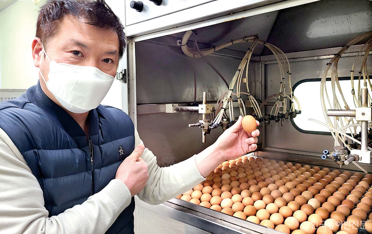 황한솔 한솔양계 대표가 천연물질인 폴리페놀 나노코팅을 계란에 입히는 작업과 효과 등을 설명하고 있다. 