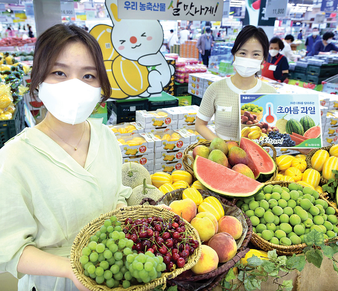 제철 맞은 여름과일”…농협유통 하나로마트, 제철·이색과일 모음전 < 품목정보 < 유통 < 기사본문 - 한국농어민신문