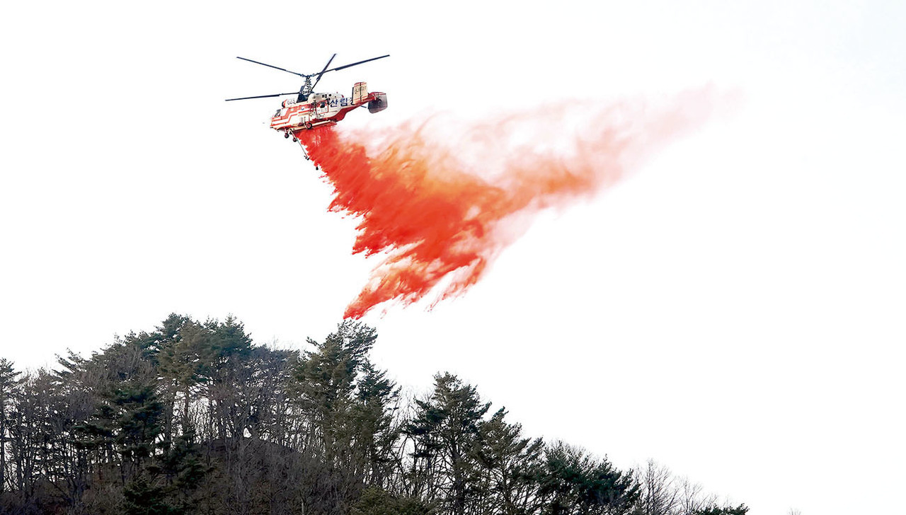 산림청 보유 KA-32 헬기가 산불지연제(리타던트)를 살포하고 있다.
