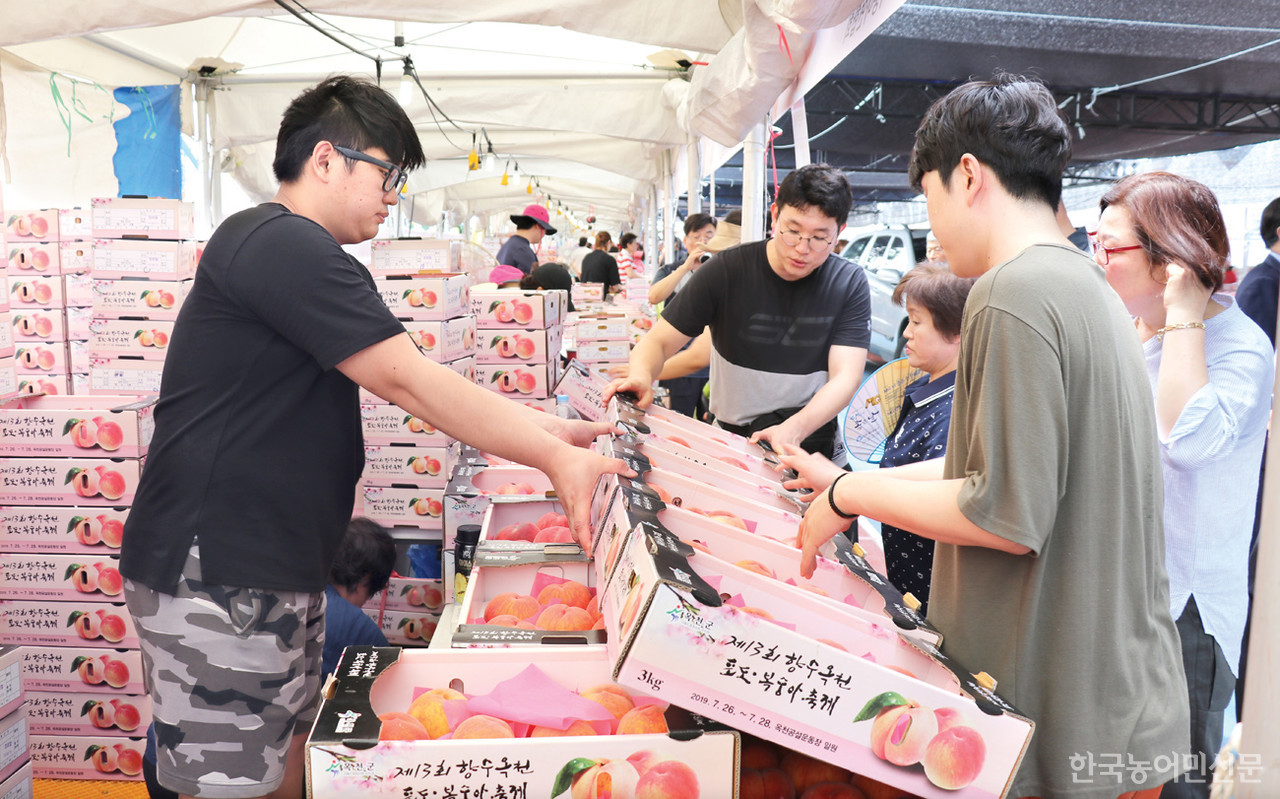 옥천군 향수 포도·복숭아 축제가 7월 29~31일까지 농·특산물 판매장, 체험장 등 다채로운 행사로 개최됐다.