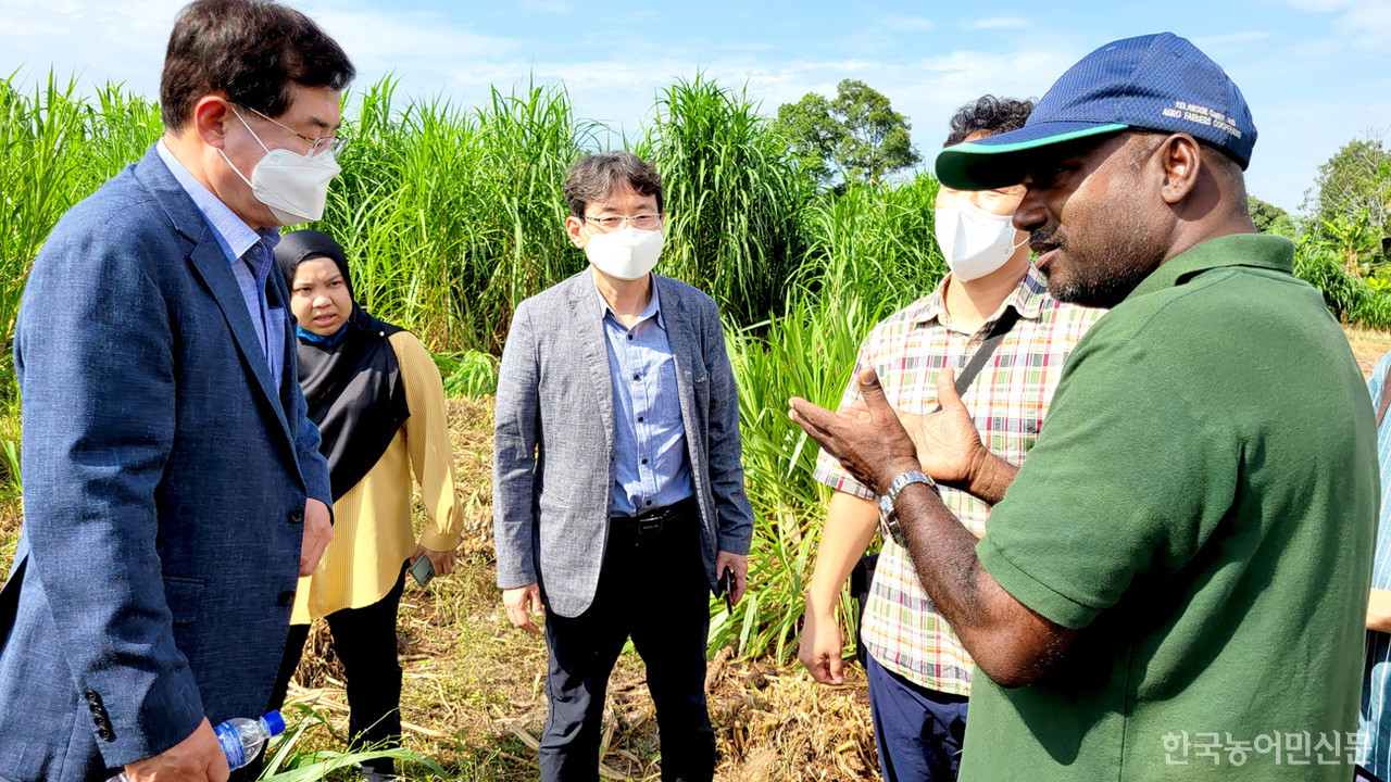 농협 관계자들이 말레이시아 조사료 재배 현장을 방문해 관계자로부터 현황 등을 듣고 있다.