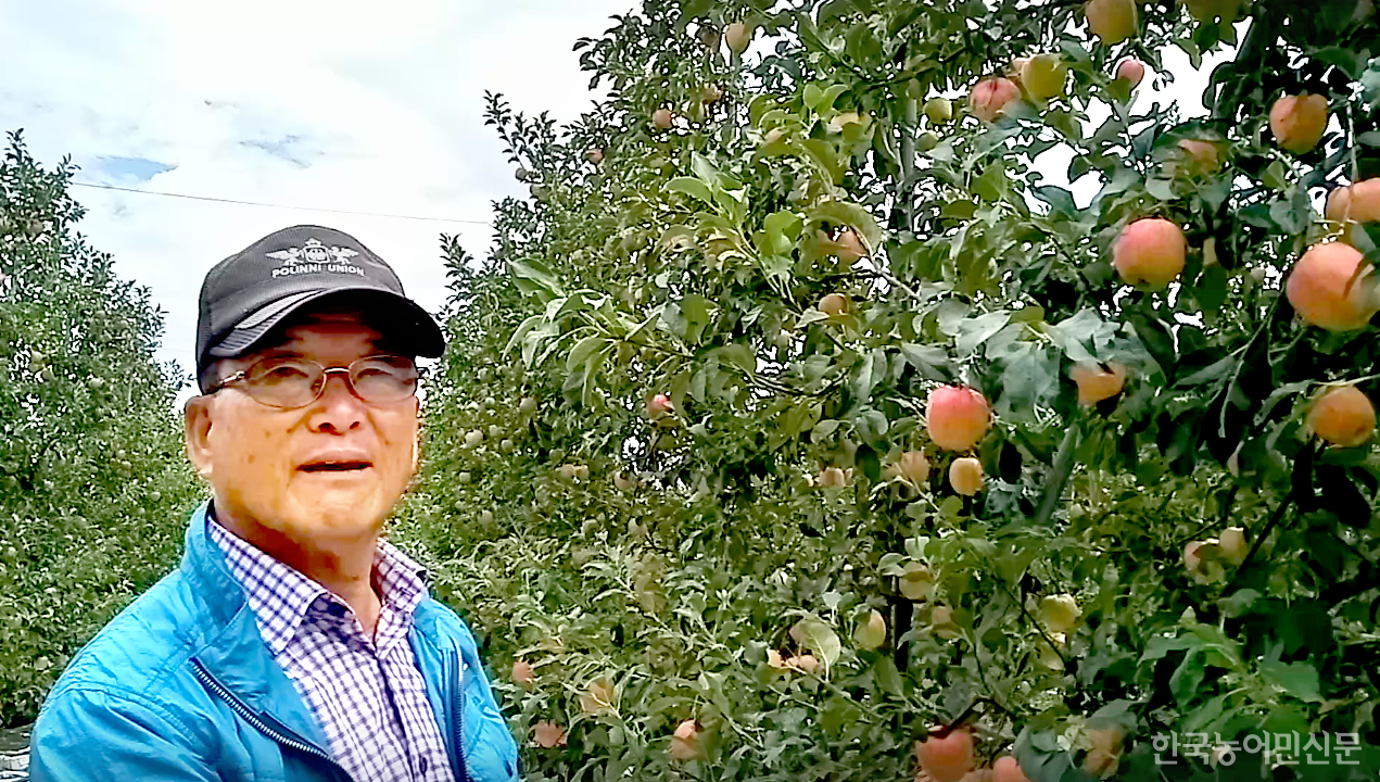전국 사과 마이스터 중 최고령자인 장수군 최봉기 씨는 사과나무 하나하나 마다 고유번호를 매겨 병해충, 방제 횟수 등 1년 동안의 모든 사항을 기록한다.