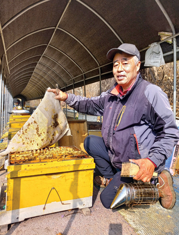 춘천에서 30년 이상 양봉업에 종사하는 김덕만씨는 무관세 꿀 수입에 대비해 중앙정부 차원에서 벌 연구와 투자를 늘려 국내 양봉산업을 보호해야 한다고 강조한다.