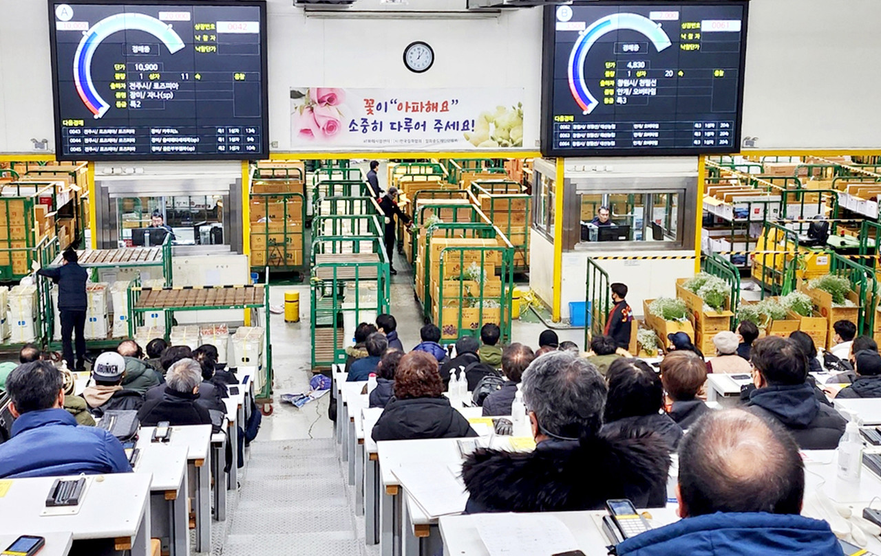 양재동 화훼공판장이 역대 최대 경매실적인 1510억 원을 달성했다.