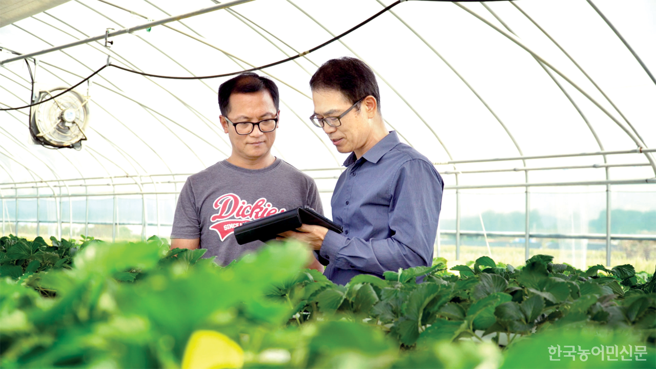 팜한농의 디지털파밍 팜스올은 디지털 센서가 분석한 농장 환경 분석 정보를 스마트폰으로 실시간 확인하고 병해충도 미래 예측해 농가에 큰 도움을 주고 있다.
