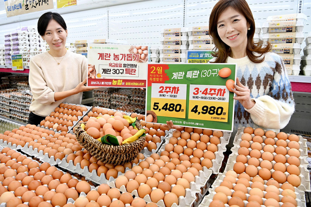 2월 한 달간 농협유통·농협하나로유통이 운영하는 전국 38개 하나로마트 매장에선 ‘계란 농가 돕기 계란 특란 할인 판매’가 진행된다. 한 달 새 계란 재고가 상당히 쌓여 있는 가운데 농가들은 이런 행사들로 계란 재고가 줄어들길 바라고 있다.