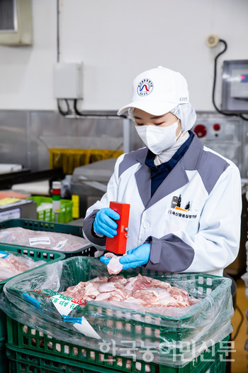 축산물품질평가원 축산물품질평가사가 닭고기 등급판정을 하기 위해 신선도 등을 측정하고 있다.