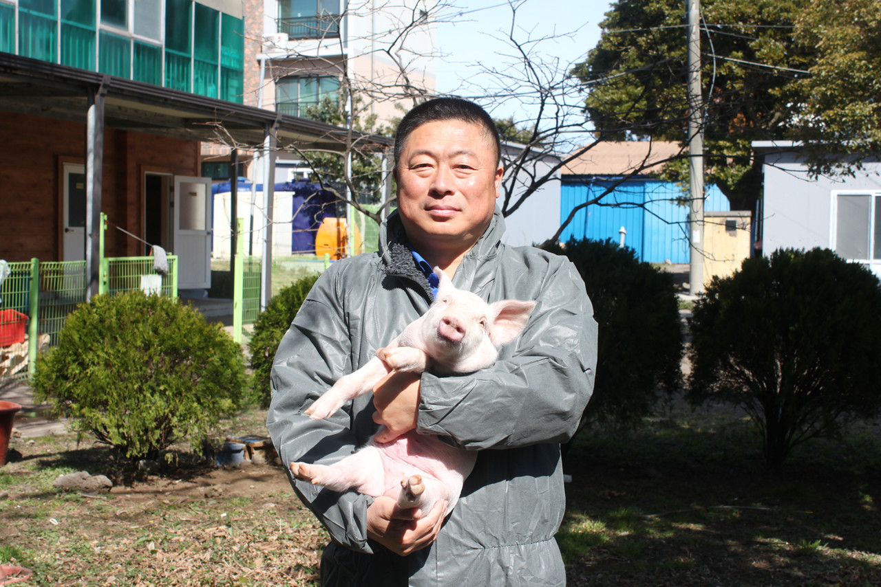 ‘돼지 키우는 일, 인생 최고의 선택’이라고 말하는 제주 송성혁 칠성영농조합법인 대표는 양돈업을 800마리로 시작해 20여년 동안 10배 이상 성장 주목받고 있다. 