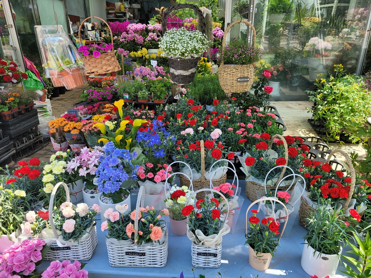 비대면 특수 속에 화훼업계의 기대가 커지고 있지만, 수입 물량이 역대 최대로 들어오고 있는 실정이다. 사진은 서울의 한 꽃 소매점 판매대 모습. 