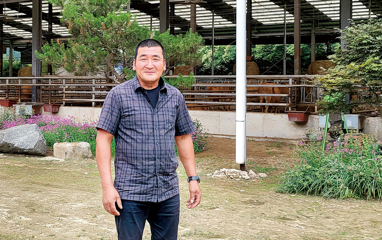 김영준 대표는 매년 봄마다 가축분 퇴비를 친환경적으로 재배하고 있는 논에 살포하고 그곳에서 자란 볏짚을 다시 한우에게 먹이는 자연순환농업을 실현하고 있다.