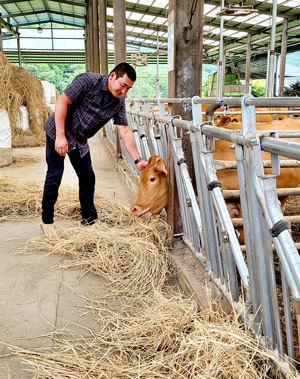 김영준 대표는 철저한 송아지 관리 등을 위해 수시로 축사를 찾아 소를 관찰한다.