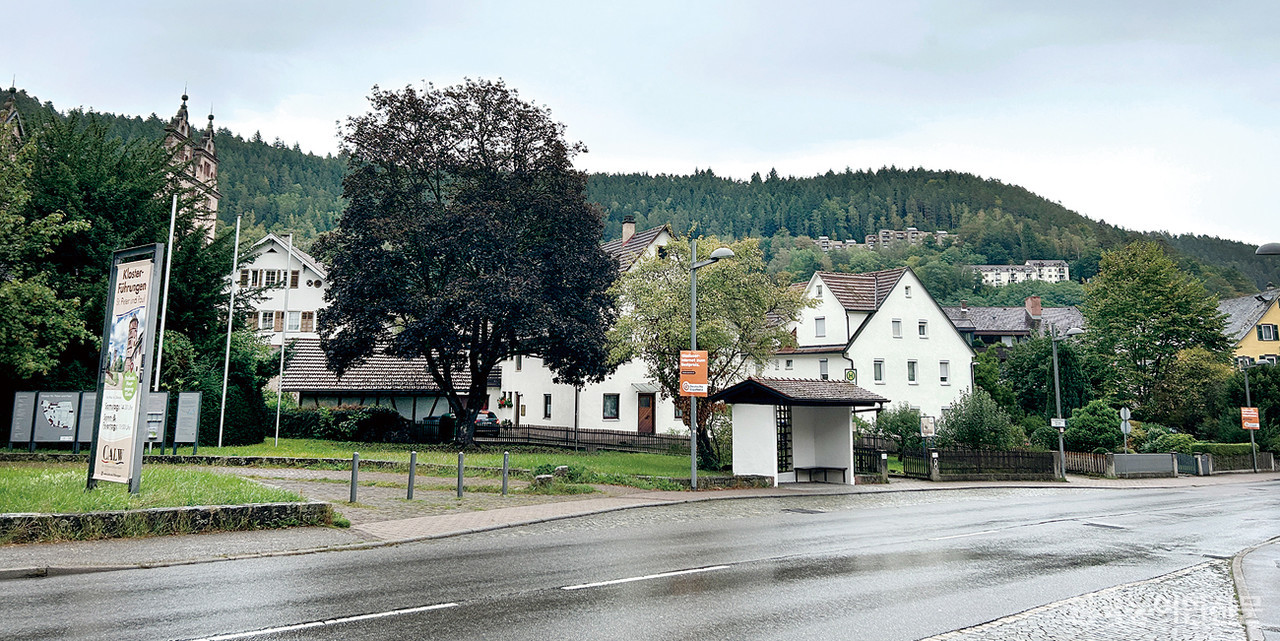 농촌공간계획이 체계적으로 시행되고 있는 독일의 농촌마을은 주변 자연경관과 조화를 이루고 있다. (사진=취재기자)