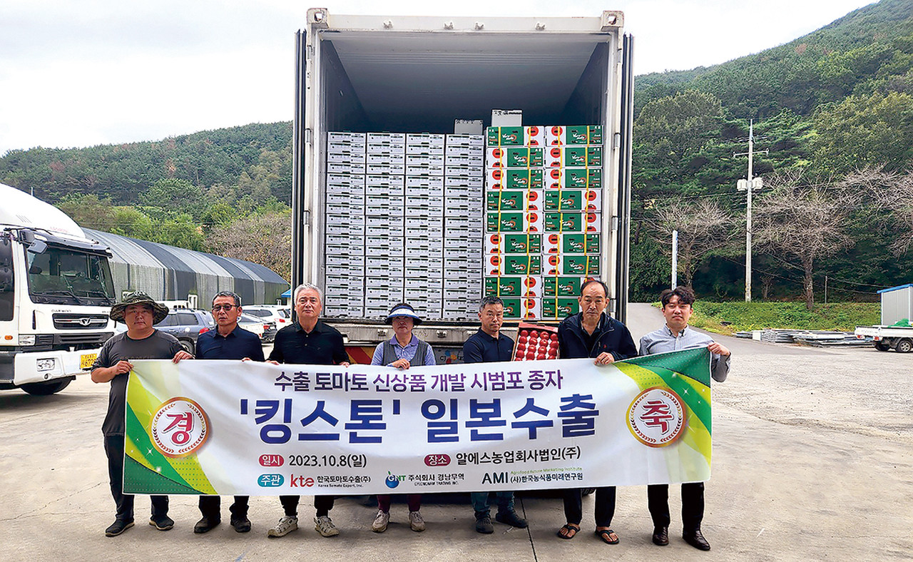 한국토마토수출(주)가 수출용 토마토 신품종인 ‘킹스톤’ 대과품종 일본으로 첫 수출하는 성과를 올렸다.