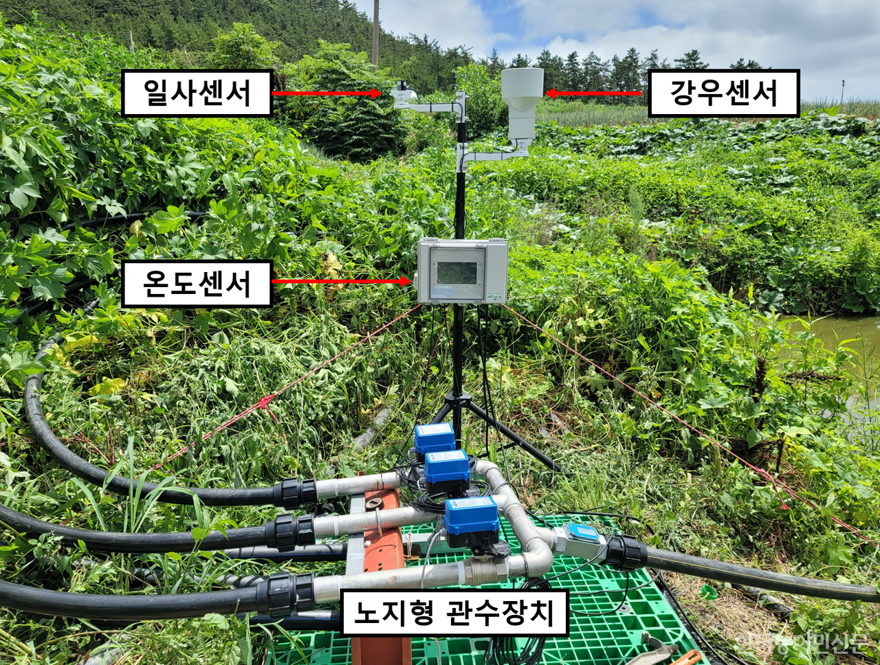전남농업기술원이 실시간 주변 정보를 반영해 물조절이 가능한 스마트 물관리 장치 개발에 성공했다.
