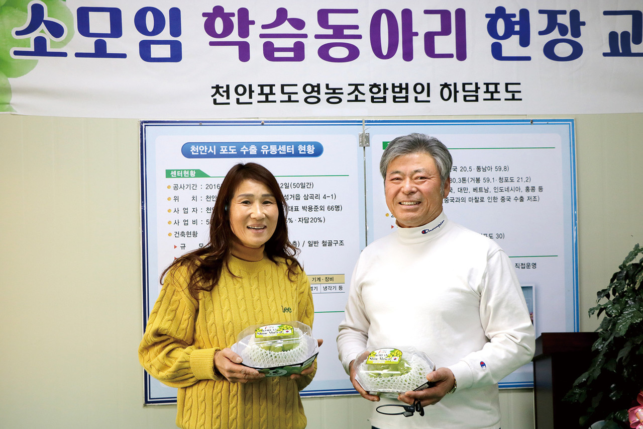 박용준 천안포도영농조합법인 대표(사진 오른쪽)와 아내 김성녀 실장은 인생의 동반자면서 포도 수출에 힘을 모으고 있다.
