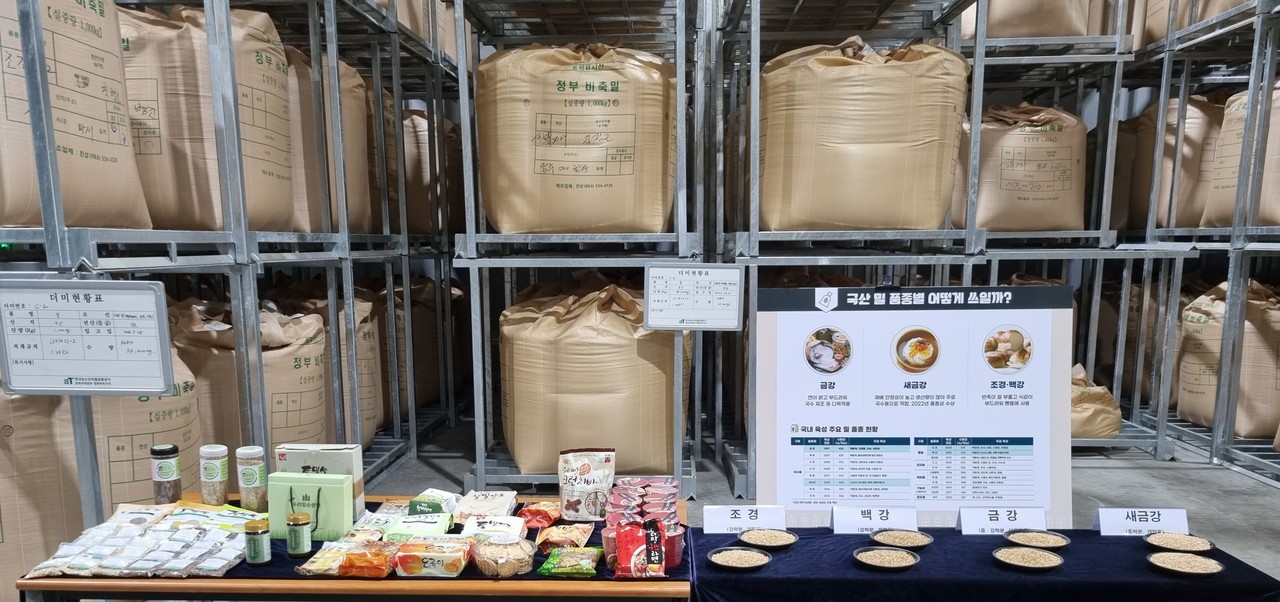 한국농수산식품유통공사가 비축하고 있는 국산 밀. 사진=공사 제공