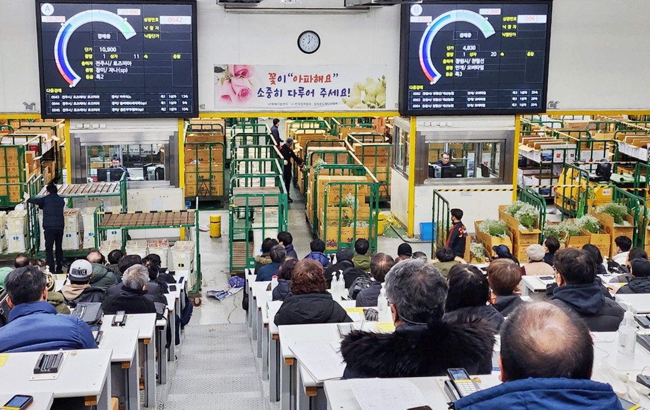 서울 양재동 화훼공판장에서 진행되고 있는 화훼 경매 모습. 사진=한국농수산식품유통공사 제공 