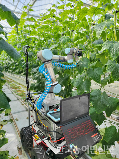 시설오이를 수확하는 농업용 로봇이 개발됐다.  