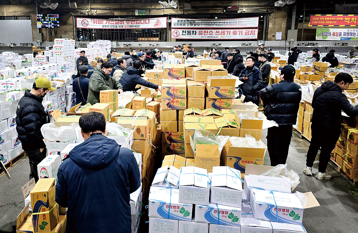 2월 1일 저녁 서울 송파구 가락동 농수산물도매시장에서 채소류 경매가 진행되고 있다. 전반적으로 반입량 감소 분위기 속에서 설 연휴를 앞두고 막바지 출하 물량이 늘어날 것으로 예상된다.  