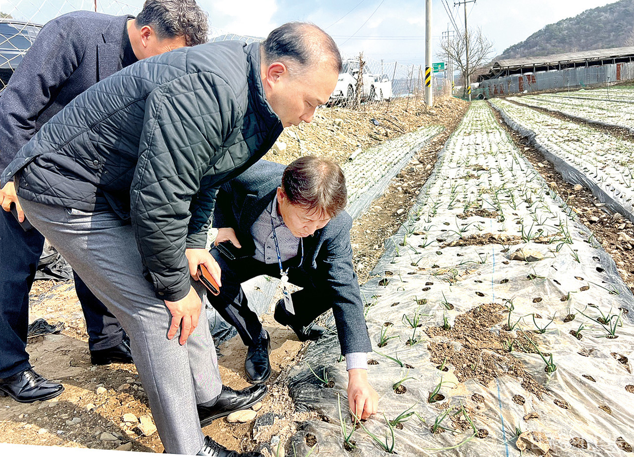 전북농협은 12일 전북 완주군 화산면 농가를 찾아 냉해 피해 현황을 살피고, 피해 지원을 위한 현장 점검을 실시했다.