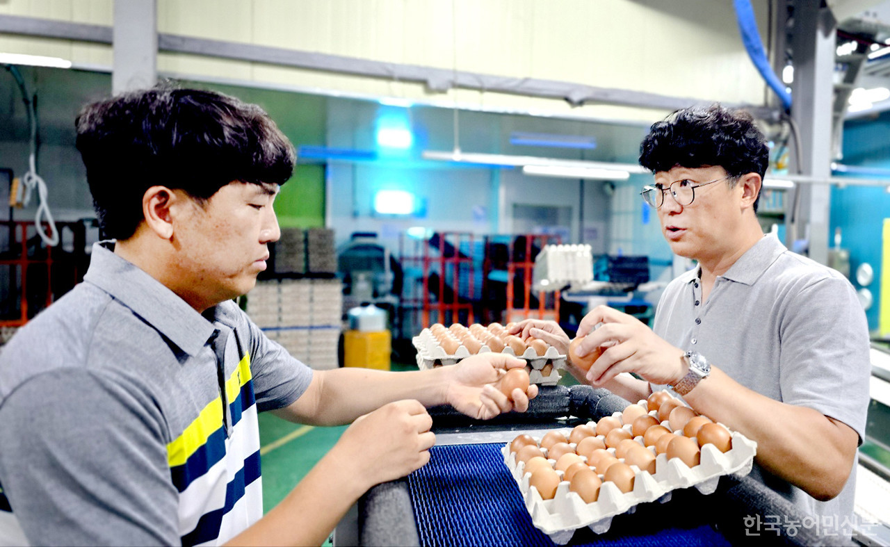 대한산란계협회 대구·경북지회  손후진 지회장(오른쪽)과 김명현 사무국장이 선별포장업장에서 출하된 달걀 상태를 점검하며 현재 산지 상황에 대한 의견을 나누고 있다.