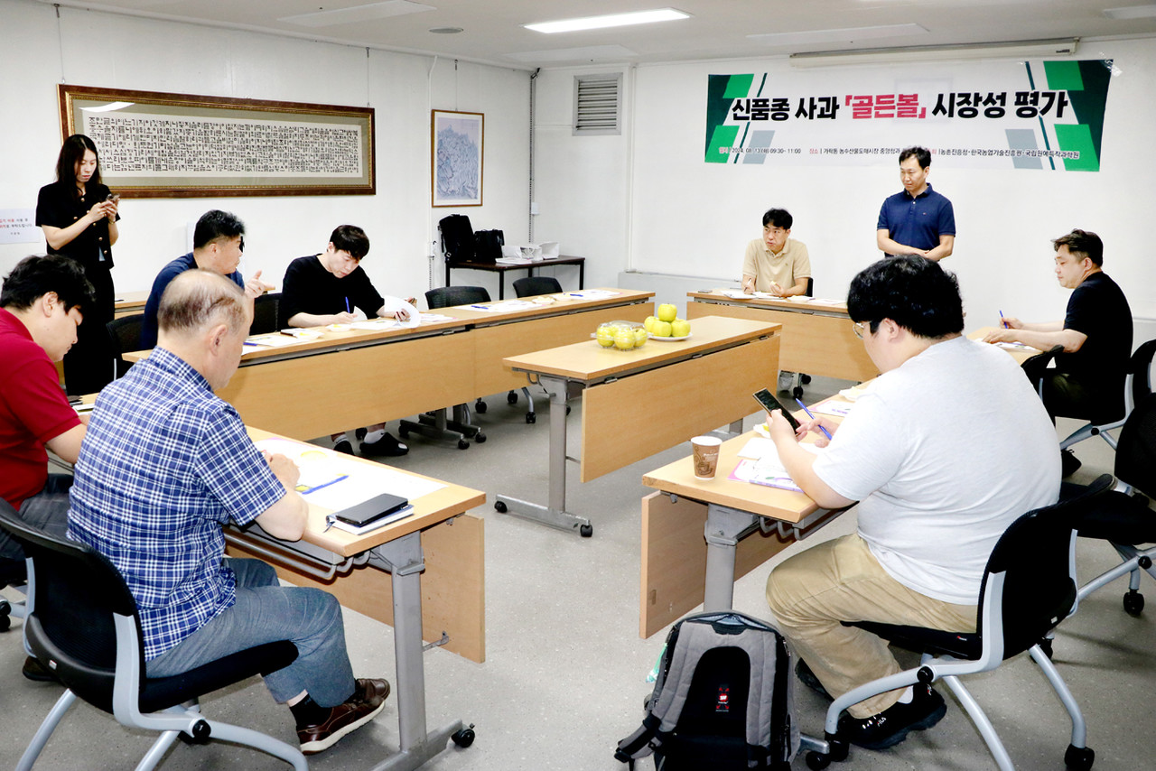 농진청 등이 지난 13일, 가락시장 유통인들이 참석한 가운데 중앙청과 회의실에서 신품종 사과 ‘골든볼’ 시장성 평가회를 개최했다.