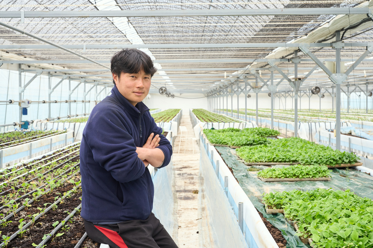 경기도 양주시 백석읍 다솜농장 김태경 대표는 스마트팜 시설하우스에서 울릉도 특산물인 부지깽이나물을 연중 재배해 학교급식에 납품하는 등 소득을 올리고 있다. 