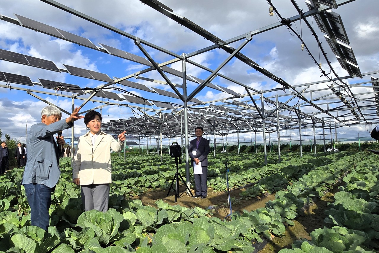송미령 장관이 22일 충북 청주시 오창읍 소재 ‘영농형 태양광 실증 시험단지’를 방문해 시설을 살펴보고 있다.