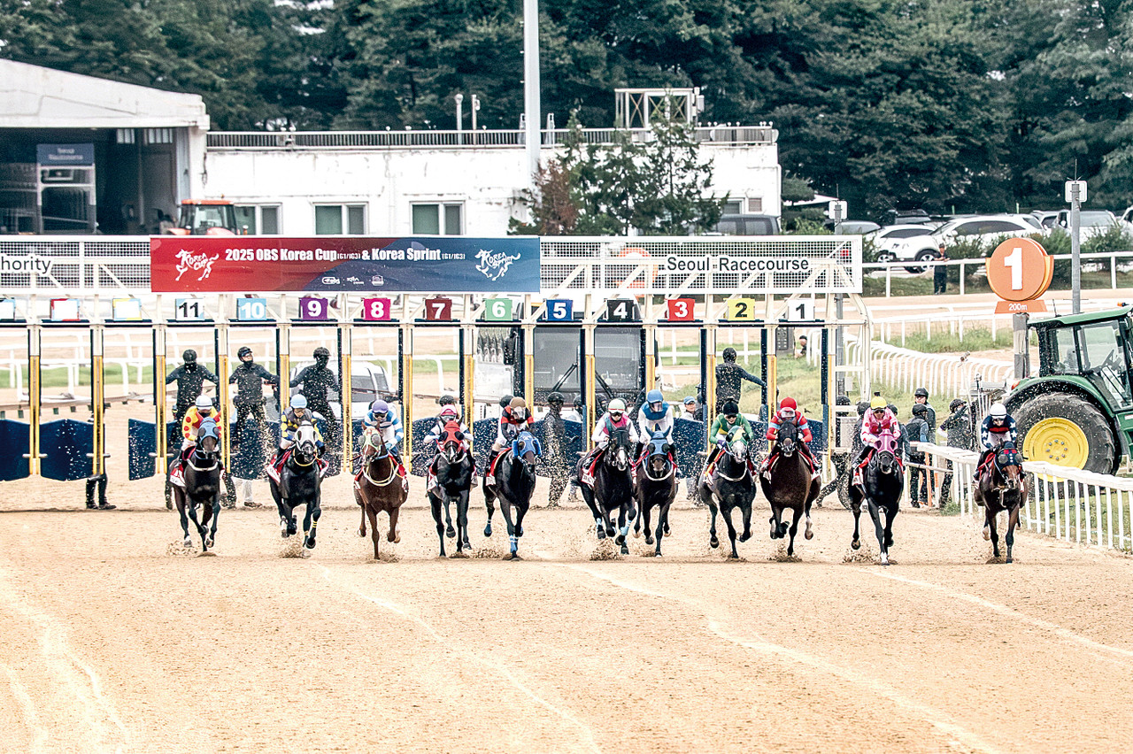 한국마사회가 뽑은 제8회 코리아컵&코리아스프린트(IG3) 통해 ‘K-경마’의 경쟁력을 세계에 각인시켰다.자료=한국마사회.