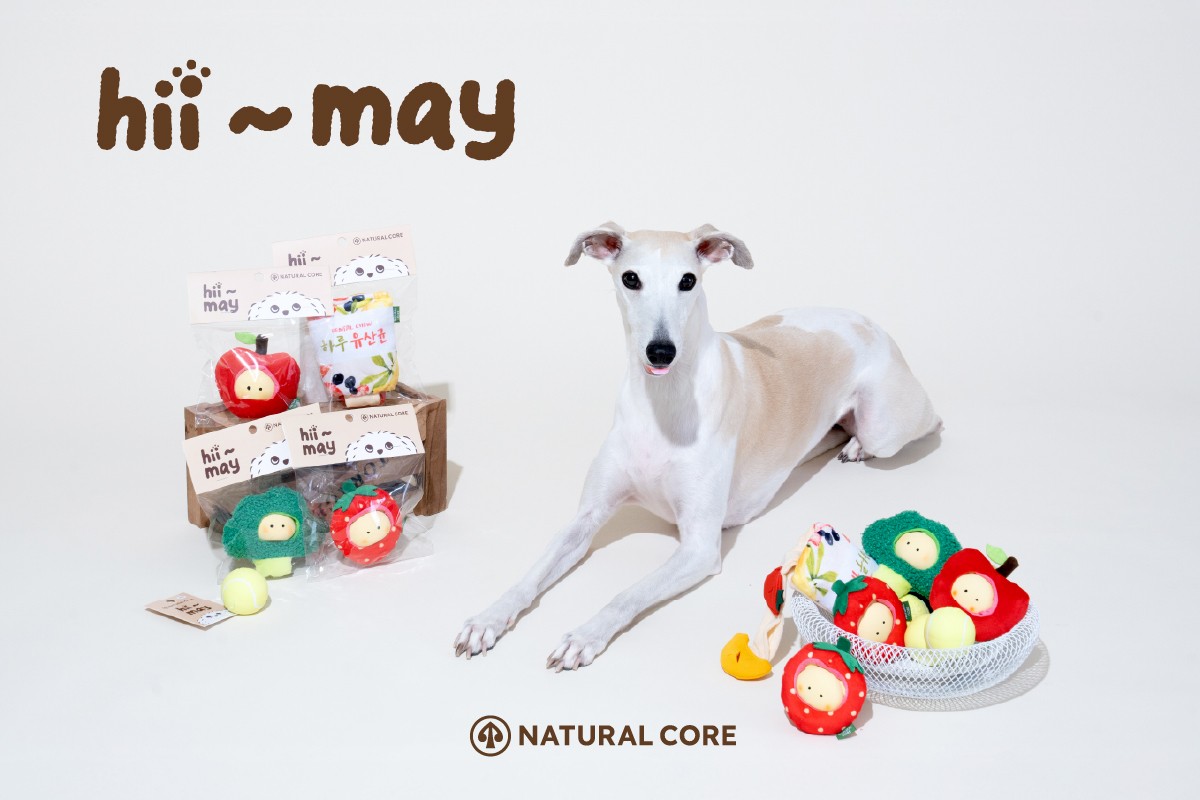 반려견 놀이·간식 결합...네츄럴코어 '하이메이' 시리즈 선보여 - 뉴스 썸네일 이미지
