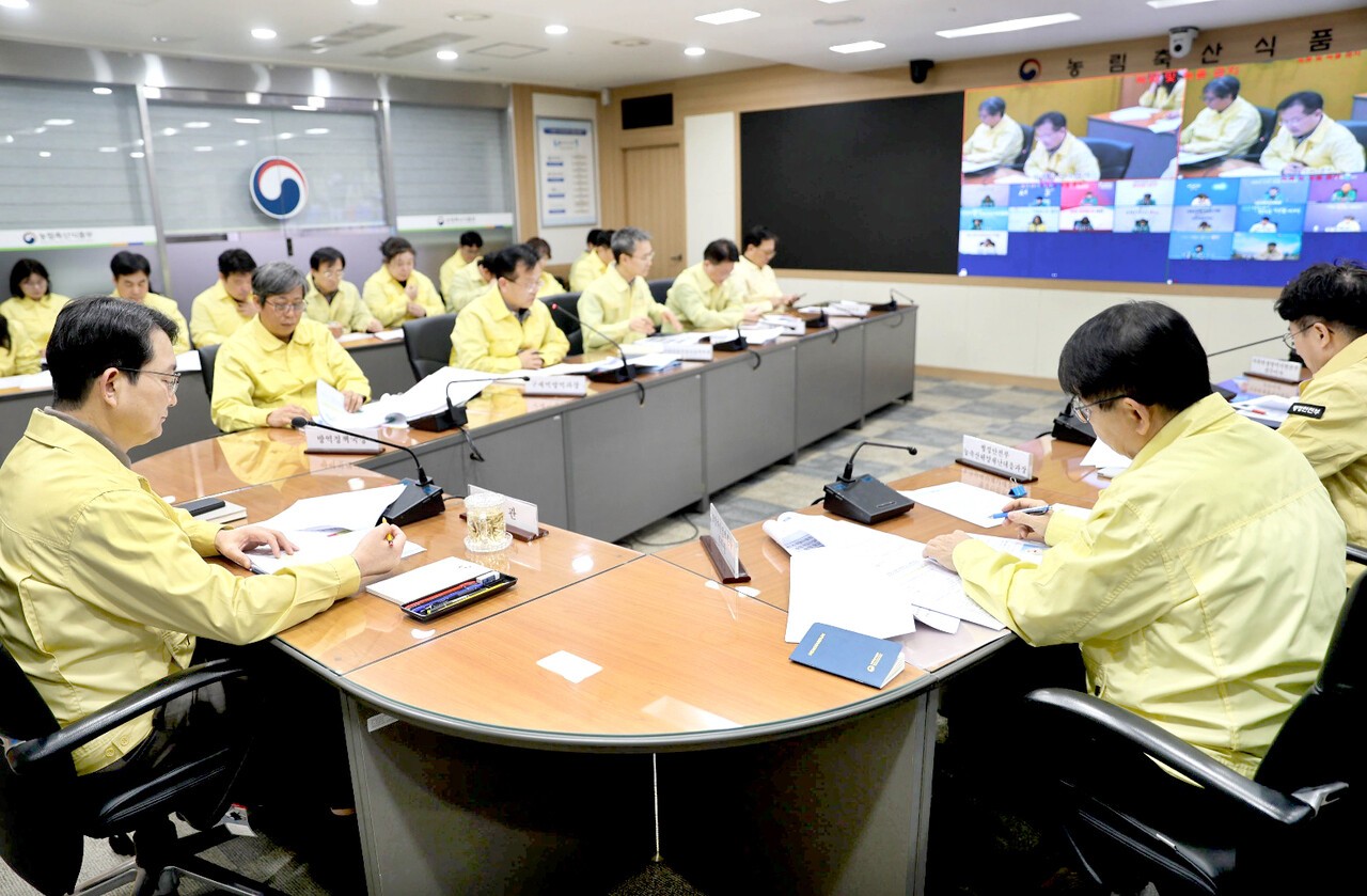 아프리카돼지열병 중앙사고수습본부는 지난 17일 김종구 농식품부 차관 주재로 ASF 발생 상황과 방역 대책을 점검했다.&nbsp;