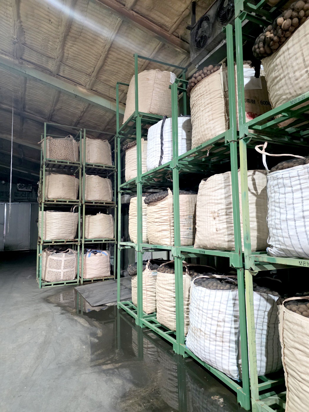 경기도농수산진흥원이 보관 중인 비규격 감자. 동화청과는 이 같은 비규격 감자를 유통을 통한 취약계층 아동 지원을 시작했다.