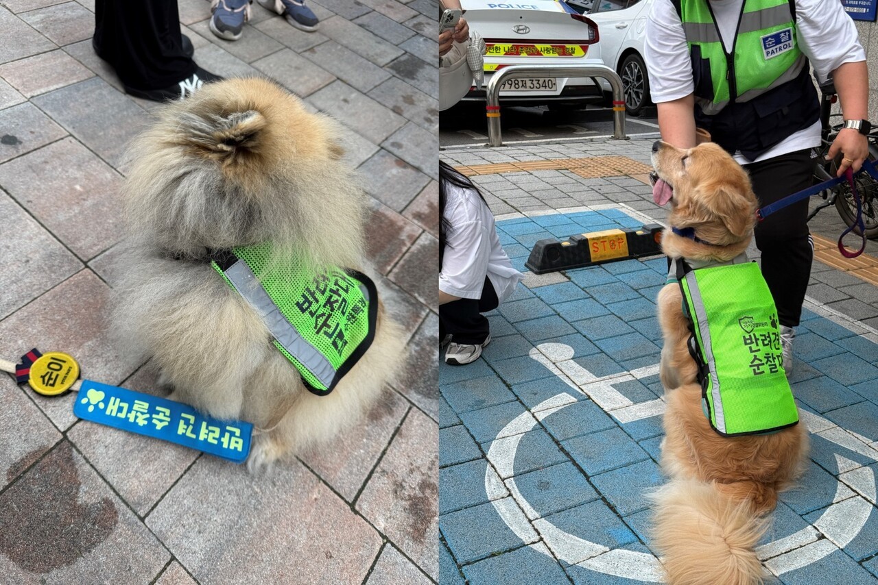 네츄럴코어사는 최근 반려견 순찰대와 협력강화와 더불어 883만원 상당의 반려견 사료를 동물보호 단체에 기부 하는 등 다양한 활동을 전개하고 있다.