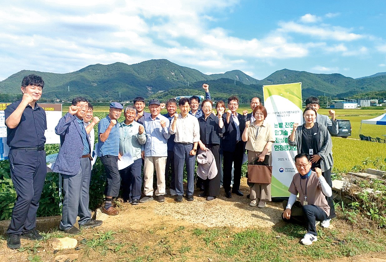 깊이거름주기 기술과 바이오차를 활용한 저탄소 복합기술이 논콩 생산량을 높이는 것으로 확인됐다. 사진은 지난해 실시한 현장 평가회 모습.