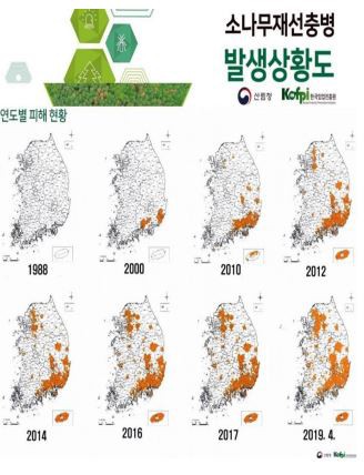 재선충병 발생 추이. 발표자료
