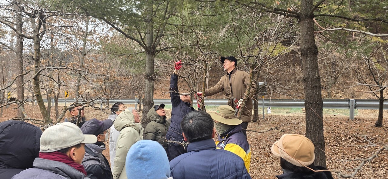 한국임업진흥원은 2월 9일부터 11일까지 경북 영주시 산양삼·산약초 홍보교육관에서 ‘산나물정원 실습 심화과정’을 운영했다.
