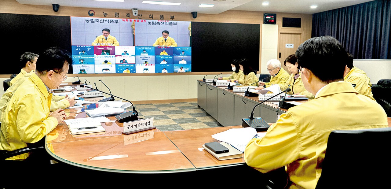 김종구 농림축산식품부 차관 주재로 지난 13일 열린 아프리카돼지열병 중앙사고수습본부 회의 장면. 관계기관과 지방정부 등이 참여한 가운데 열린 이날 회의에서 중수본은 아프리카돼지열병 발생 상황과 대책을 점검하고 방역 관리 강화 방안을 내놨다.&nbsp;&nbsp;