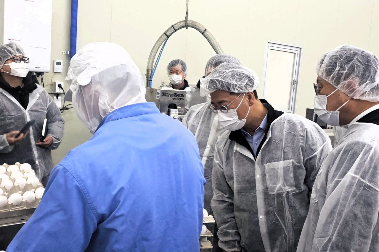 사진은 올 초 국내에 들어온 미국산 신선란에 대한 검역·검사를 진행하는 모습. 