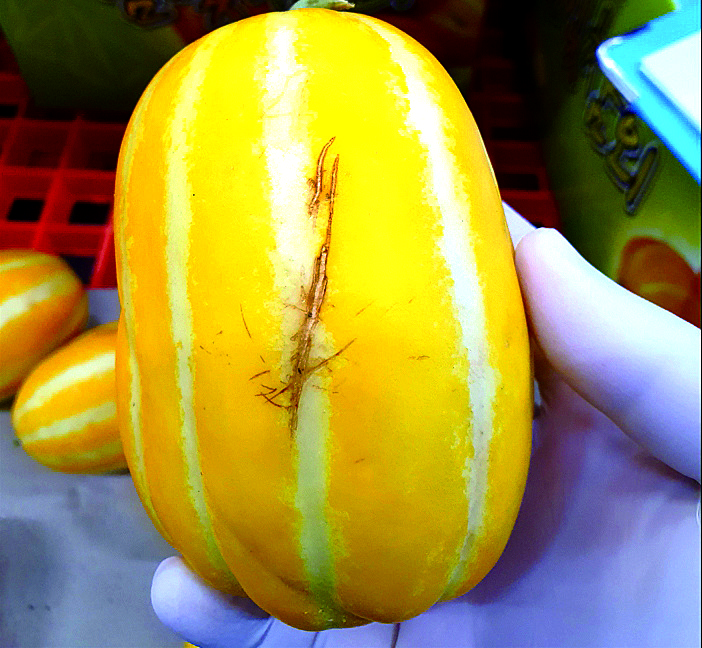 경기도가 아까운 농산물 유통을 지원한다.