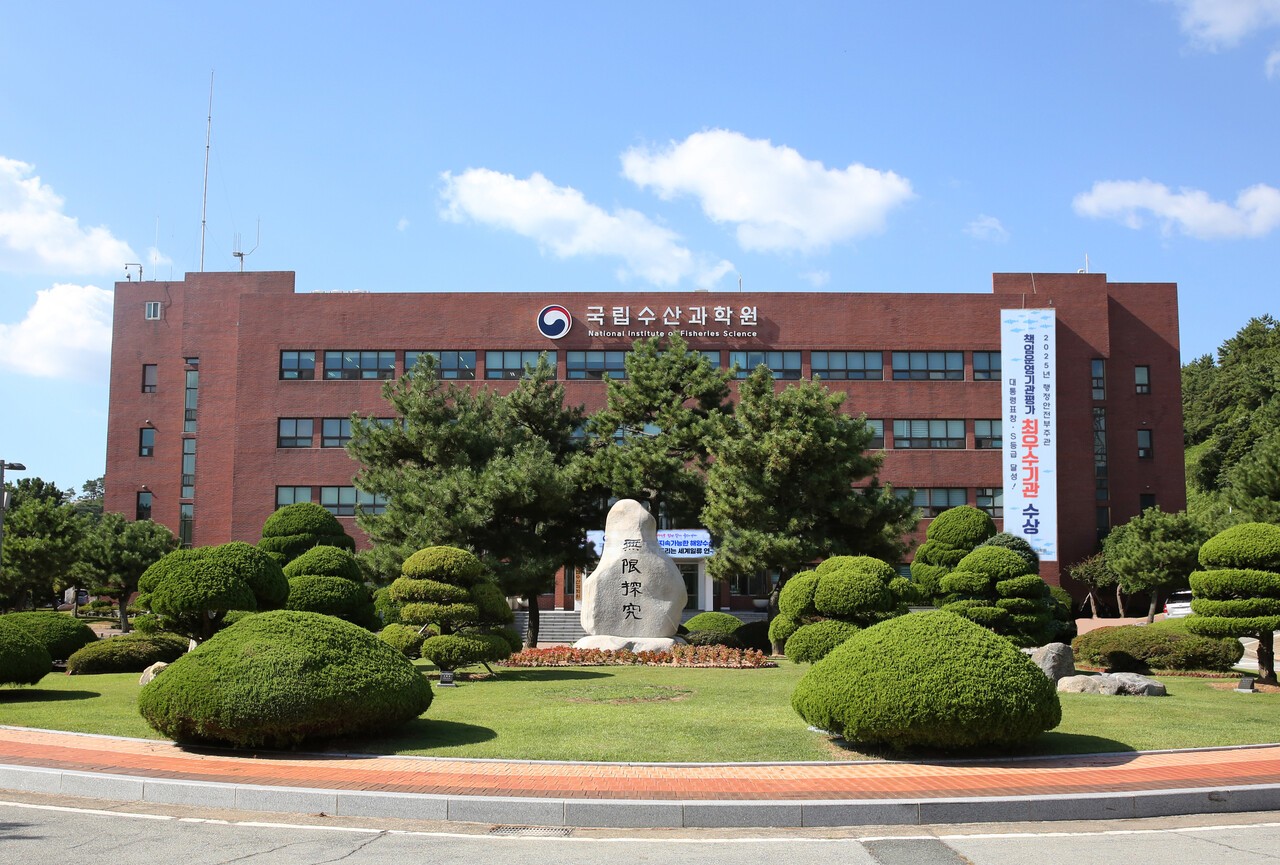 겨울 제철 굴...수과원, "3월에 영양성분 맛 더 뛰어나" - 뉴스 썸네일 이미지