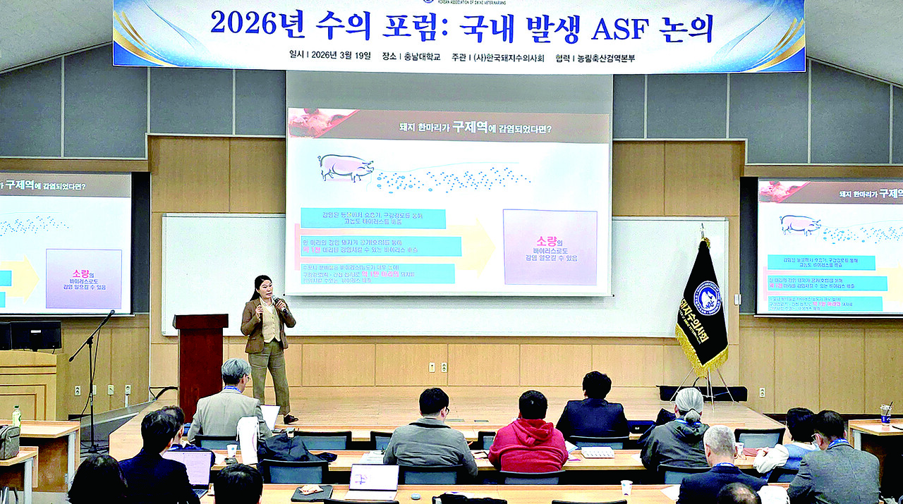 구복경 농림축산검역본부 질병진단과 과장이 19일 열린 ‘2026 한국돼지수의사회 수의포럼’에서 ASFV 병리진단 방법에 대해 설명하고 있다.&nbsp;