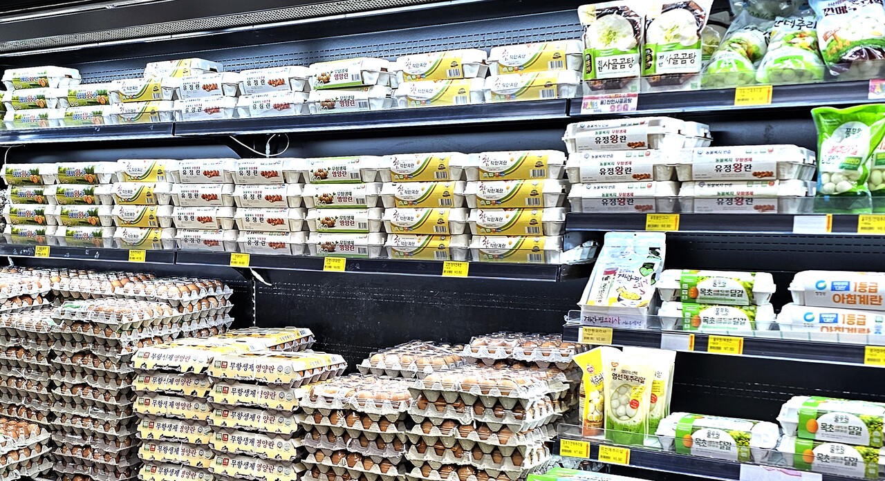 경기도 소재 한 중소형 마트 계란 매대. 특란 30개 6980원에서 10개 7950원까지 일반란과 무항생제 또는 기능성을 강조한 계란 제품이 다양한 가격에 판매되고 있다.